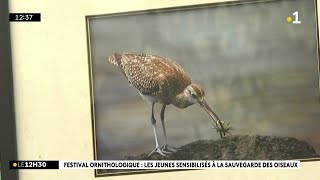 Le premier festival ornithologique de SaintLouis [upl. by Ajuna762]