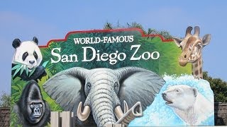 San Diego Zoo [upl. by Drarig]