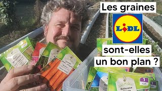 Les graines Lidl sontelles toujours un bon plan [upl. by Kaja]