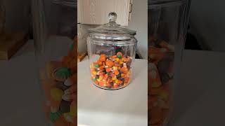 Brachs Candy Corn candycorn brachs yes no shortsvideo halloween pumpkin viralvideo videos [upl. by Zalucki]