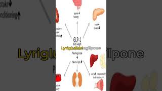 Liraglutide and Alzheimers Disease [upl. by Elleivad338]