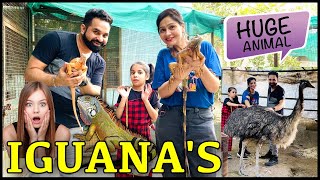 A Day with these 😱 Amazing EXOTIC Animals PULKITvAmp  Harpreet SDC [upl. by Niwred70]