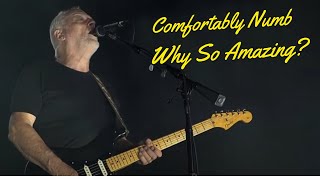 Comfortably Numb  What Makes This Song A Masterpiece [upl. by Rennane]