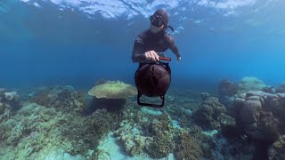 Freediving in Atauro Island  Haruina Reef Timor Leste [upl. by Annod]