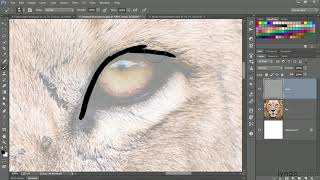 Photoshop Tutorial  Handpainting an image with a Wacom Cintiq [upl. by Jamieson]