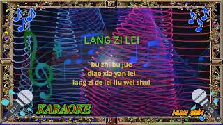 Lang zi lei  karaoke no vokal cover to lyrics pinyin [upl. by Necyrb]