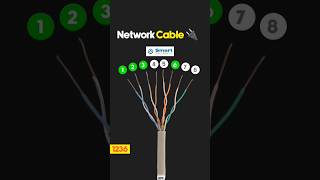 cat5e cat6 cat6e cat7 networkcablewificable camputernetworkcable [upl. by Ralph]