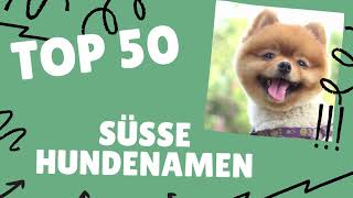 Süße Hundenamen  TOP 50 Liste [upl. by Bywoods]