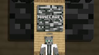 Gato gris de Minecraft 1 [upl. by Caneghem]