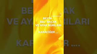 BEL BACAK AYAK AĞRILARI ❗️KARACİĞER ❗️ [upl. by Desirea]