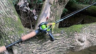 Dobyns Sierra Ultra Finesse Shimano Curado BFS Rod and Reel Review [upl. by Anaila]