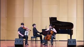 Mendelssohn：Piano Trio No1 in d minor  2nd Movment，Op49 [upl. by Eendys]