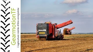 DEWULF  RA3060  Kwatro Xtreme  4row selfpropelled sieving harvester [upl. by Fanny]