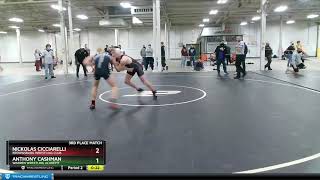 High School Boys 160 Anthony Cashman Warren Wrestling Academy Vs Nickolas Cicciarelli Brownsburg W [upl. by Eugnimod]