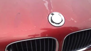 Easiest Way to Remove Replace A BMW Roundel Emblem [upl. by Annairba]