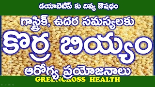 health tips in teluguకొర్ర బియ్యంhealth benefits of korra biyyam korralufox tail millet [upl. by Yar]