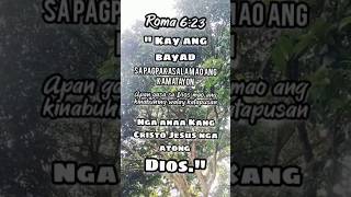 Roma 623 quotAng pulong sa Diosquot sinful grace graceofgod [upl. by Ycram]