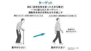 LSVT BIGの紹介 An Introduction to LSVT BIG in Japanese [upl. by Holey]