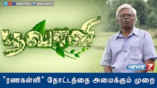 Ranakalli plant helps to cure kidney stone  Poovali  News7 Tamil [upl. by Eirroc175]