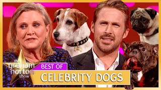 Carrie Fishers Dog Steals The Spotlight  Celebrity Dogs  The Graham Norton Show [upl. by Kanter]