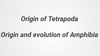 Origin of Tetrapoda Origin and evolution of Amphibia PGT MScBSc Chordata [upl. by Ulrica]