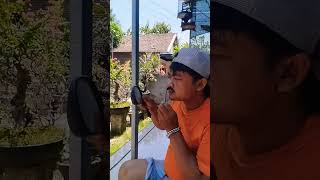 Sakit Bingit shots viralvideo comedy lucu [upl. by Atiuqan]