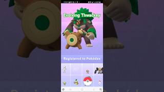 Pokémon GO Evolving My Thwackey To Rillaboom galarrillaboompokemongo galarstarter [upl. by Nilya]