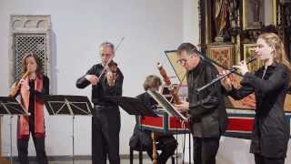 A Vivaldi Concerto F major RV 99 live La Gioia Köln [upl. by Maggio]