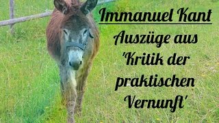 Immanuel Kant  Auszüge aus der Kritik der praktischen Vernunft [upl. by Narhem]