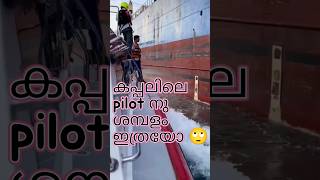 Ship pilot salary 🙄🙄  കപ്പലിലെ പൈലറ്റ് നു ഇത്ര ശമ്പളമോ 😳 shipvlog malayalam shyam the sailor [upl. by Landis]