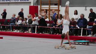 YORKSHIRE REGIONALS GYMNASTICS COMP 2017 Mikey PPP [upl. by Ilenay]