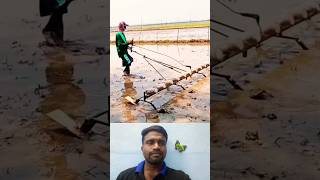 🤔விதை விதைக்க சூப்பர் ஐடியா⁉️  Super Farm Idea💯 trending seedsowing tipsandtricks ideas shorts [upl. by Balas]