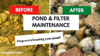 Pond and filter maintenance  DIY [upl. by Vaientina]