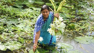 MUST WATCH  OUR VILLAGE FOOD quotSAPLAquot Recipe Cooking In Village Style  Water Lily Flower [upl. by Buchheim339]