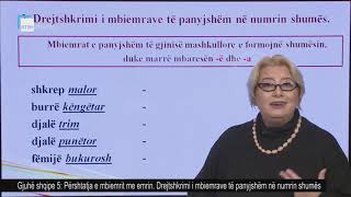 Gjuhë shqipe 5  Përshtatja e mbiemrit me emrin Drejtshkrimi i mbiemrave të panyjshëm në nr shumës [upl. by Ahsiet]