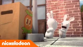 Les lapins crétins  Invasion  Le camouflage  Nickelodeon France [upl. by Enirolf]