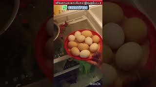 IncubatorReelsManufacturingTrending Agriculture Vivasayam tamilreelstrending [upl. by Damales817]