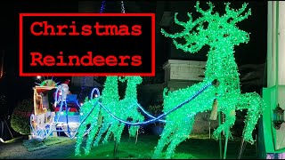 Mindless Paresthesia  Christmas Reindeers [upl. by Avehsile]