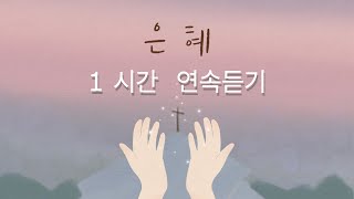 은혜  손경민 1시간 연속듣기 [upl. by Auqenet638]