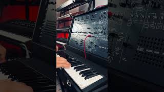 Stevie Wonder ARP 2600 sound  Living For The City [upl. by Pettiford301]