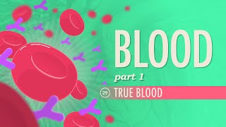 Blood Part 1  True Blood Crash Course Anatomy amp Physiology 29 [upl. by Hsivat]