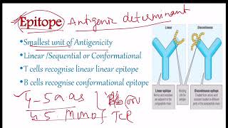 Antigens  definition and Factors affecting Antigenicity [upl. by Oznol831]