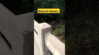 Netural beauty nature tourest travelblog beautiful tourust vlog shortsshortviral fypシ゚viral [upl. by Atinoj]