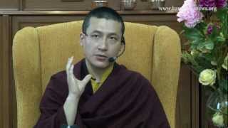 HH the 17th Karmapa Teaching about Meditation [upl. by Ameh570]