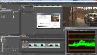 Premiere Pro  Adjusting tonality  brightness amp contrast [upl. by Nomled]