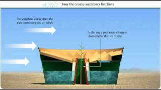 How does the Groasis Waterboxx plant cocoon work against desertification [upl. by Cirdla]