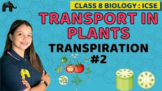 Transport in Plants Class 8 ICSE Biology  Selina Chapter 1  Transpiration 2 [upl. by Weitman]