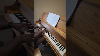 Chappell Roan  Femininomenon Piano Cover piano clarinet music cover chappellroan pop [upl. by Teuton572]