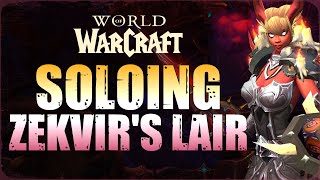 Zekvirs Lair Solo  Protection Warrior  Guide [upl. by Pulchia254]