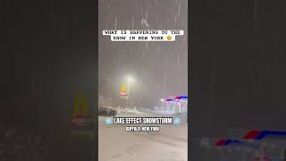 What is Happening to the Snow in New York  Lake Effect Snow Storm [upl. by Spector]